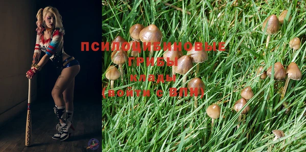MDMA Аркадак